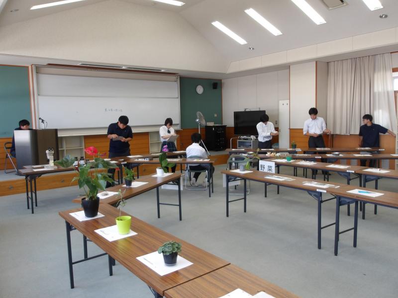 農業鑑定競技会の様子3