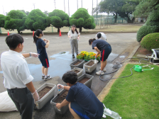 プランター植え替え作業1