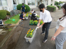 丁寧に植える様子