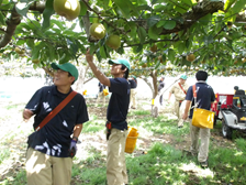 収穫前の説明会