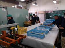 選果室での計量作業