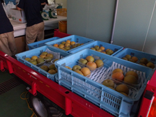 パック詰めの工夫