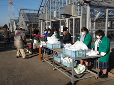 販売会の賑わい