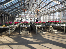 接客する生徒たち