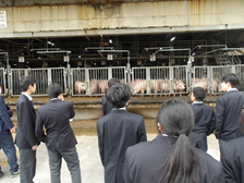 視察の様子3